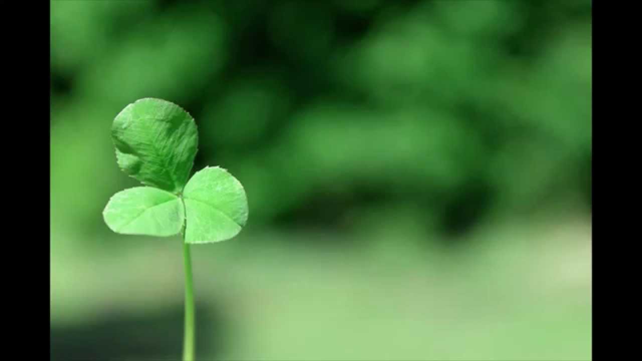 Ty's Photography for April of 2013