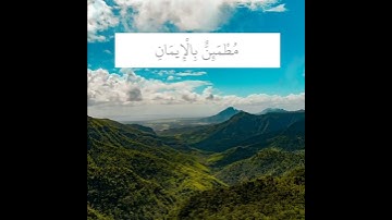 تلاوة خاشعة بصوت القارئ خالد الجليل | إِنَّمَا يَفْتَرِي الْكَذِبَ الَّذِينَ لَا يُؤْمِنُونَ