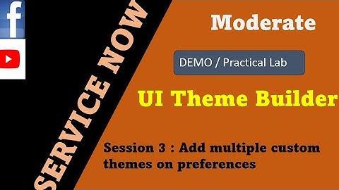 ServiceNow UI Theme Builder Session 3 | how to add multiple themes in preference