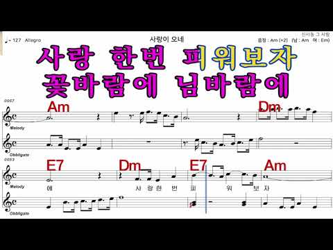 사랑이오네   주현미     가수처럼 엠알로  악보  노래 하기   남자  Am