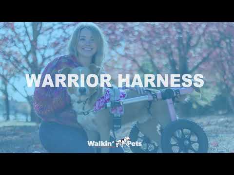 NEW - Walkin' Warrior Harness for the Walkin' Wheels Wheelchair!