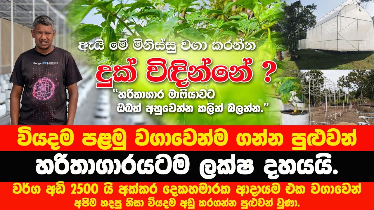 ආරක්‍ෂිත ගෘහයක් සකස් කිරීම | වර්ග අඩි 2500 ට ලක්ෂ නමය හමාරයි |How Makes Green House At Low Cost |