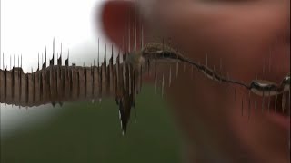 Hummingbird Imaginary Time