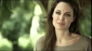 Angelina Jolie's Journey to Cam...
