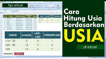 Cara Cepat Rekap Usia Sesuai Rentang Usia Dan Jenis Kelamin | Tutorial Excel Pemula - Bengkel Excel
