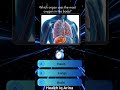 Ultimate Health &amp; Medical Quiz 2025 🩺 | Test Your Knowledge | Health IQ Arina#QuizShorts#shorts