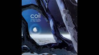 Coil - &quot;Paranoid Inlay&quot; (Official Remastered Audio)