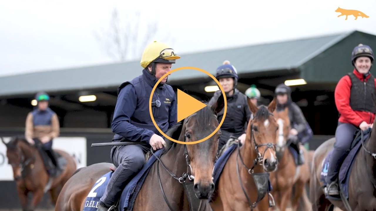 Jamie Codd meets Jack Kennedy ahead of the Cheltenham Festival