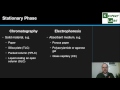 Separation Techniques: Electrophoresis vs Chromatography