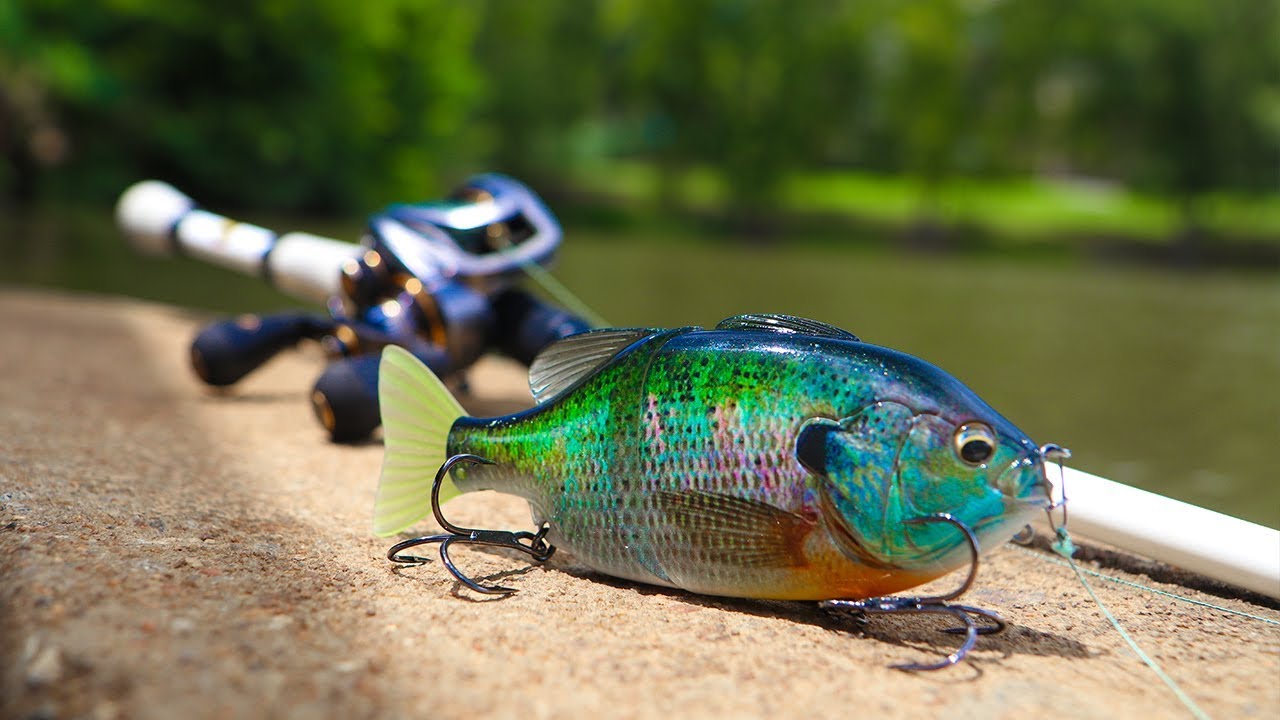 Pond Fishing With BIG Bluegill SwimBait!!