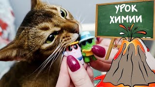 КОТЯТА-БЛИЗНЕЦЫ И ОПАСНЫЙ ВУЛКАН В КОТОШКОЛЕ! АРИЕЛА ВСЕ ИСПОРТИЛА! КОТЯТА-БЛИЗНЕЦЫ И ОПАСНЫЙ ВУЛКАН В КОТОШКОЛЕ! АРИЕЛА ВСЕ ИСПОРТИЛА!