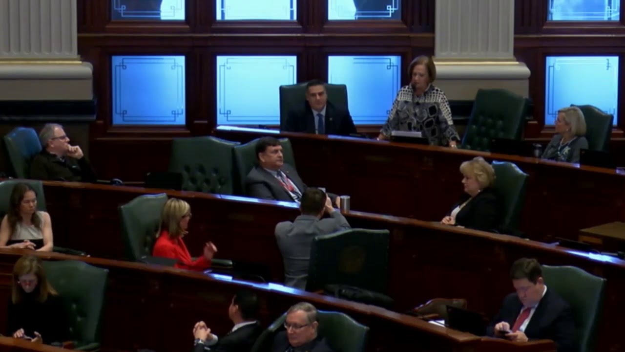 illinois general assembly statutes Rep. Jimenez honored on House Floor