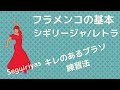 【お家でフラメンコレッスン】簡単なシギリージャのレトラに挑戦してみよう！　☆キレのあるブラソを習得☆