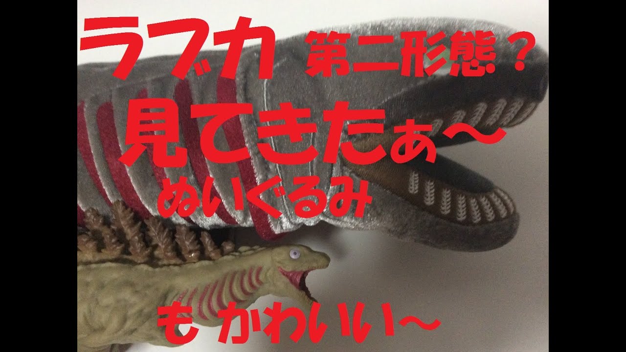 シン ゴジラ第2形態のモデルとされるラブカ 水族館で見てきましたぁ リトリバースのブログ 心を見つめるひととき