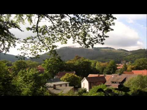 Video: Eenhoorns Zouden In Het Harzgebergte In Duitsland Kunnen Leven - Alternatieve Mening