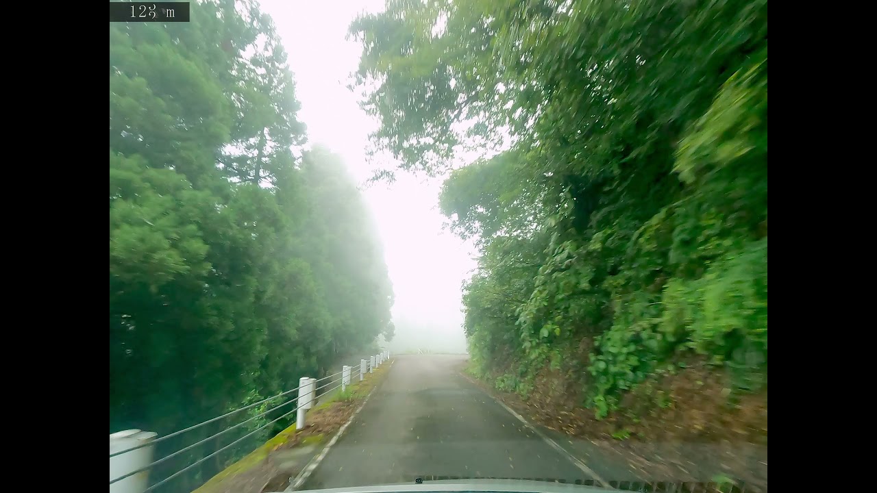【険道上級】新潟県道56号 榎峠 新潟県小千谷市・十日町市・長岡市・柏崎市 (倍速)