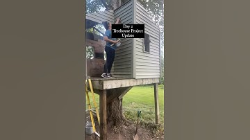 UPDATE! Day 2 of the treehouse project! 🌳 #diy #diyprojects