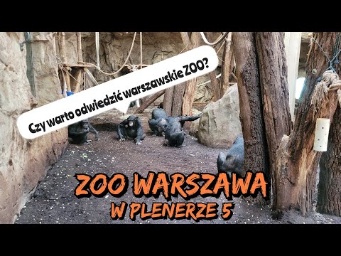 Zoo w Warszawie. Czy warto? W plenerze #5