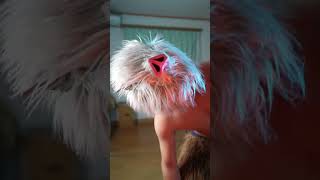 Sigma Issei X Inosuke