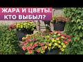 Цветы и жара, что выбыло?