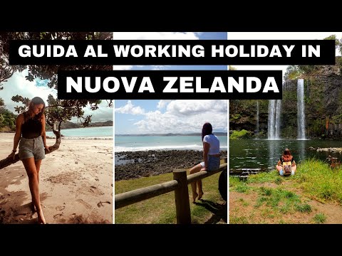 Video: Guidare in Nuova Zelanda: cosa devi sapere