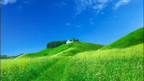 مصحف القارئ أيمن احمد الديب سورة AshShu'ara الشعراء