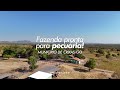 FAZENDA PRONTA PARA PECUÁRIA À VENDA NO MUNICÍPIO DE CRIXÁS-GO, A APENAS 290 KM DE GOIÂNIA.