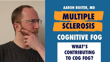 Multiple Sclerosis and Cog Fog: What