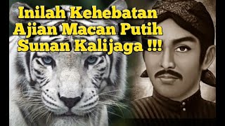 Kehebatan Mantra Ajian Macan Putih Sunan Kalijaga Memang Luar Biasa !!!