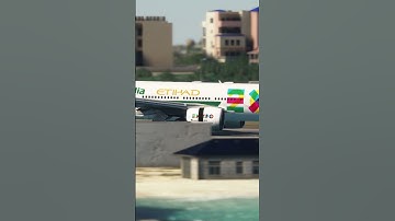enjoy the beautiful view of the plane when it lands eps.527
