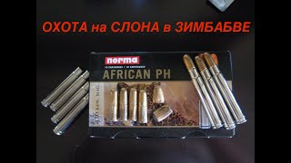 Охота на Слона. Большая Пятерка. Big 5. Elephant hunting. Охота на Слона. Большая Пятерка. Big 5. Elephant hunting.