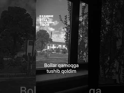 eeeh bu maktab yozda ham tugamaydi 🫡