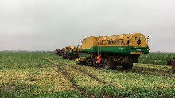 Introducing INNO-VEG: an Interreg 2 Seas EU project