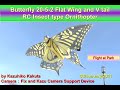 蝶型羽ばたき機　Butterfly20-5-2 Flat Wing and V tail:  Flight at Park on Snowground