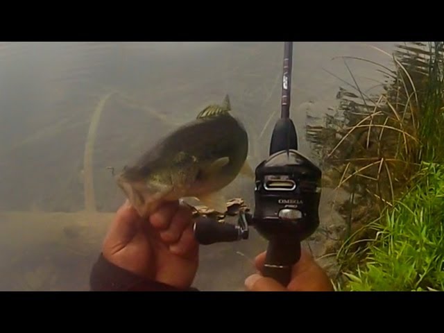 Zebco Omega Pro Z03 Bass fishing 