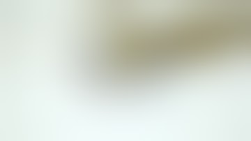 DAZ 3D Studio  PBR Skin shader parameters