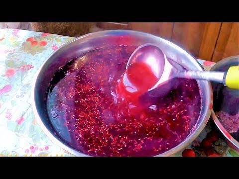 Как у нас получился смородиновый джем? Рыбалка и супер мясорубка.