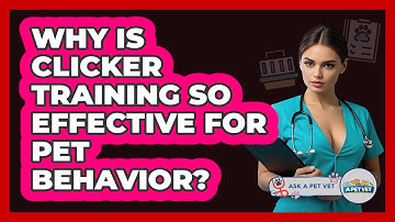 Why Is Clicker Training So Effective For Pet Behavior? - Ask A Pet Vet