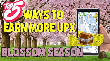 Blossom Bonanza Boom! 5 Effortless Tasks to Explode Your Upland UPX Earnings