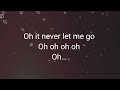 Never Let Me Go  -  Alok, Zeeba (letra)