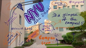 NYU Abu Dhabi Campus Glimpses - Unfiltered - Not a Full Tour, Just My Phone