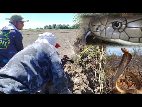 Muling binalikan dahil sa di mapanatag ang mga mag sasaka na nag papatubig tuwing gabi