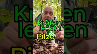 Krötenlecken, Technoparty‘s &amp; Pilze #pilze #natur #bufo #techno