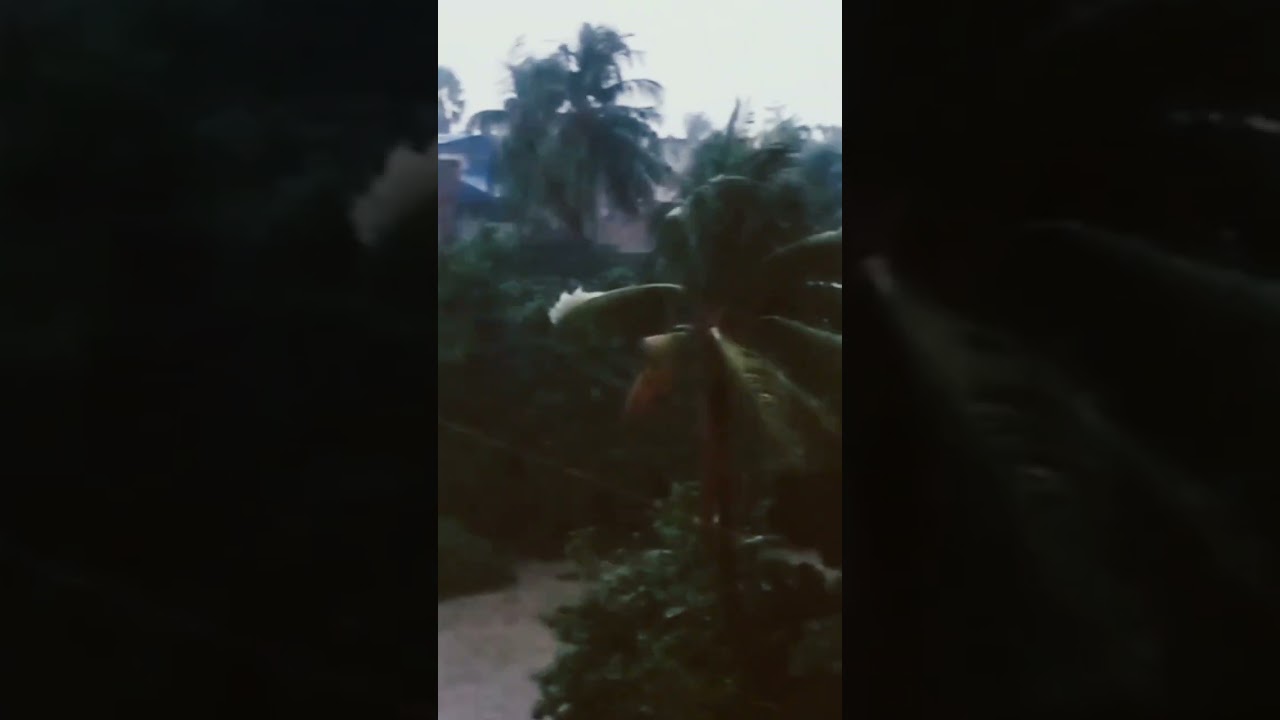 Tumul bristite amader kolaghat