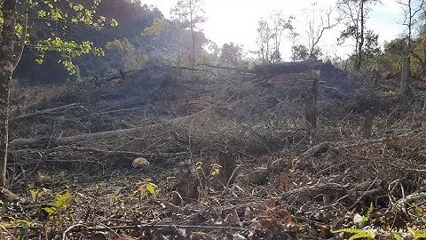  Tso tom qaib es 15/11/2025