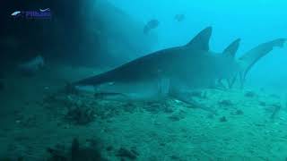 Information Discover the Dampier Archipelago - Western Australia Update