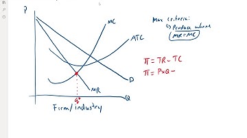 Profit Maximization - Monopoly