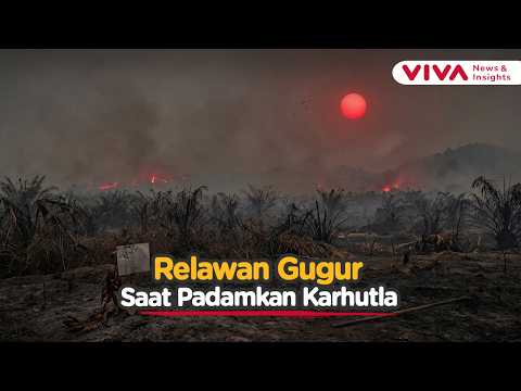 Kalimantan Wildfire Tragedy, Volunteer Dies After Smoke Inhalation