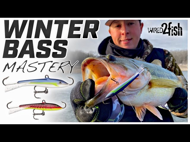 Best Bass Jigs for 2024 - Wired2Fish