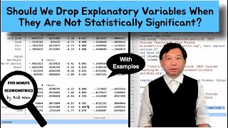 Celebrity Should We Drop Explanatory Variables When They Are Not Statistically Significant? | Topic 47 Net Worth
